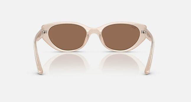 Ray-Ban INJECTED UNISEX SUNGLASS