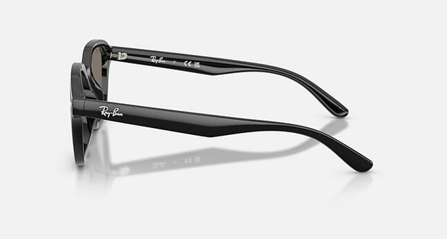 Ray-Ban INJECTED UNISEX SUNGLASS