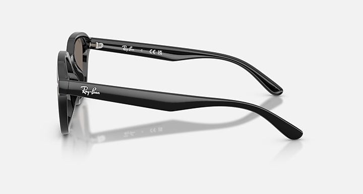 Ray-Ban INJECTED UNISEX SUNGLASS