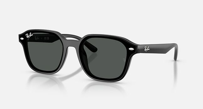 Ray-Ban INJECTED UNISEX SUNGLASS