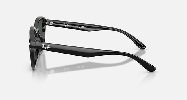 Ray-Ban INJECTED UNISEX SUNGLASS
