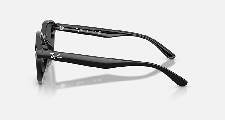Ray-Ban INJECTED UNISEX SUNGLASS