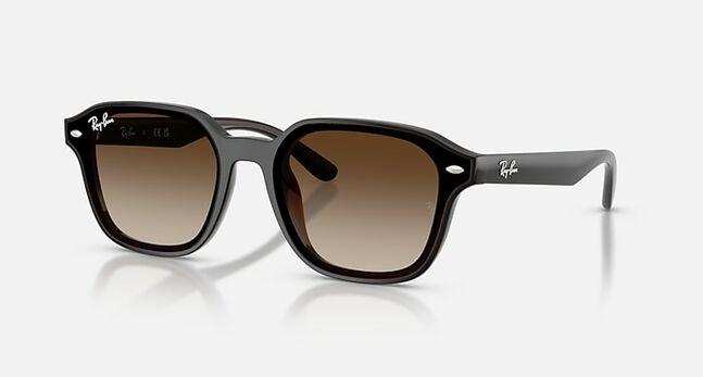 Ray-Ban INJECTED UNISEX SUNGLASS