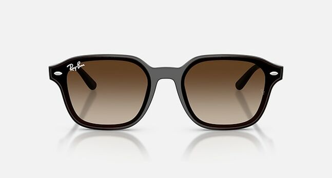 Ray-Ban INJECTED UNISEX SUNGLASS