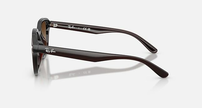 Ray-Ban INJECTED UNISEX SUNGLASS