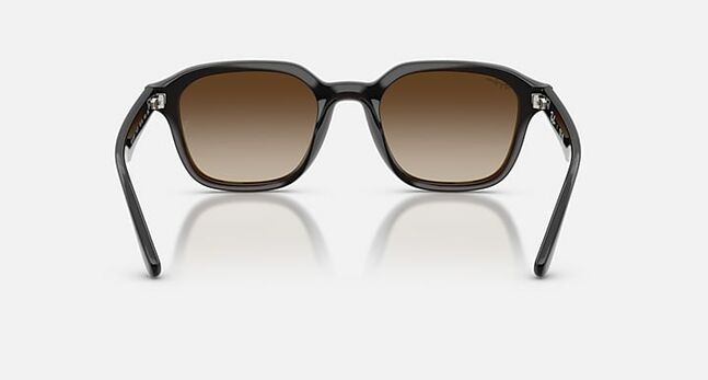 Ray-Ban INJECTED UNISEX SUNGLASS