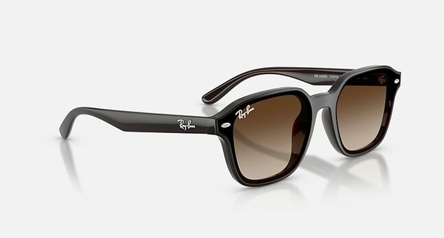 Ray-Ban INJECTED UNISEX SUNGLASS