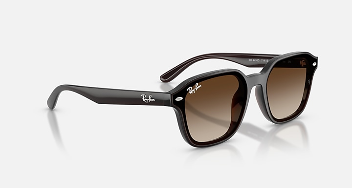 Ray-Ban INJECTED UNISEX SUNGLASS