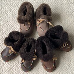 Дулаахан нэхий бойтог