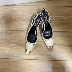 Сувдан цагаан өсгийт