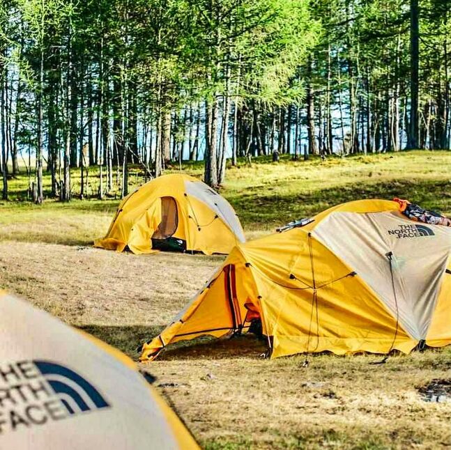 The north face ve25