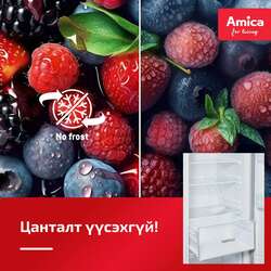 Amica 380л босоо хөлдөөгч