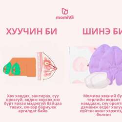 Хөхний халуун хүйтэн жин