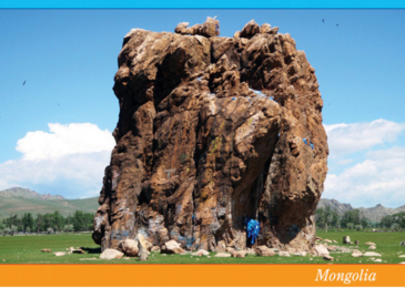 Ил захидал Тестийн бараа