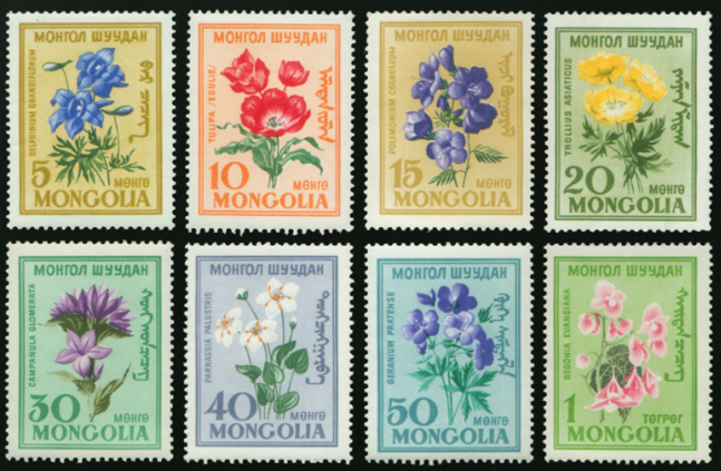 Марк Тестийн бараа 2