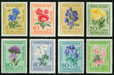 Марк Тестийн бараа 2