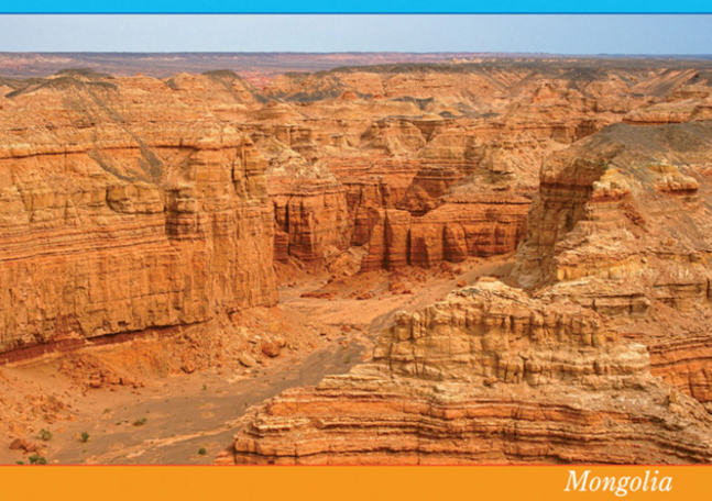 Ил захидал Тестийн бараа 3