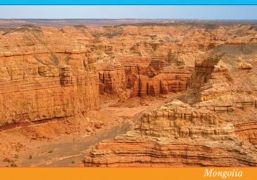 Ил захидал Тестийн бараа 3