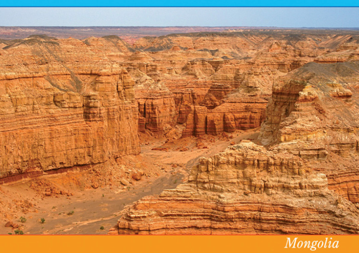 Ил захидал Тестийн бараа 3