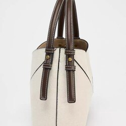 Zara bag