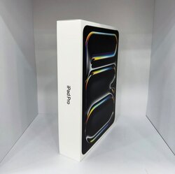 Ipad pro m4 11inch 256gb wifi 