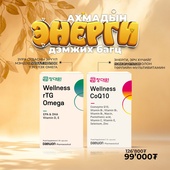 ЭНЕРГИ ДЭМЖИХ БАГЦ