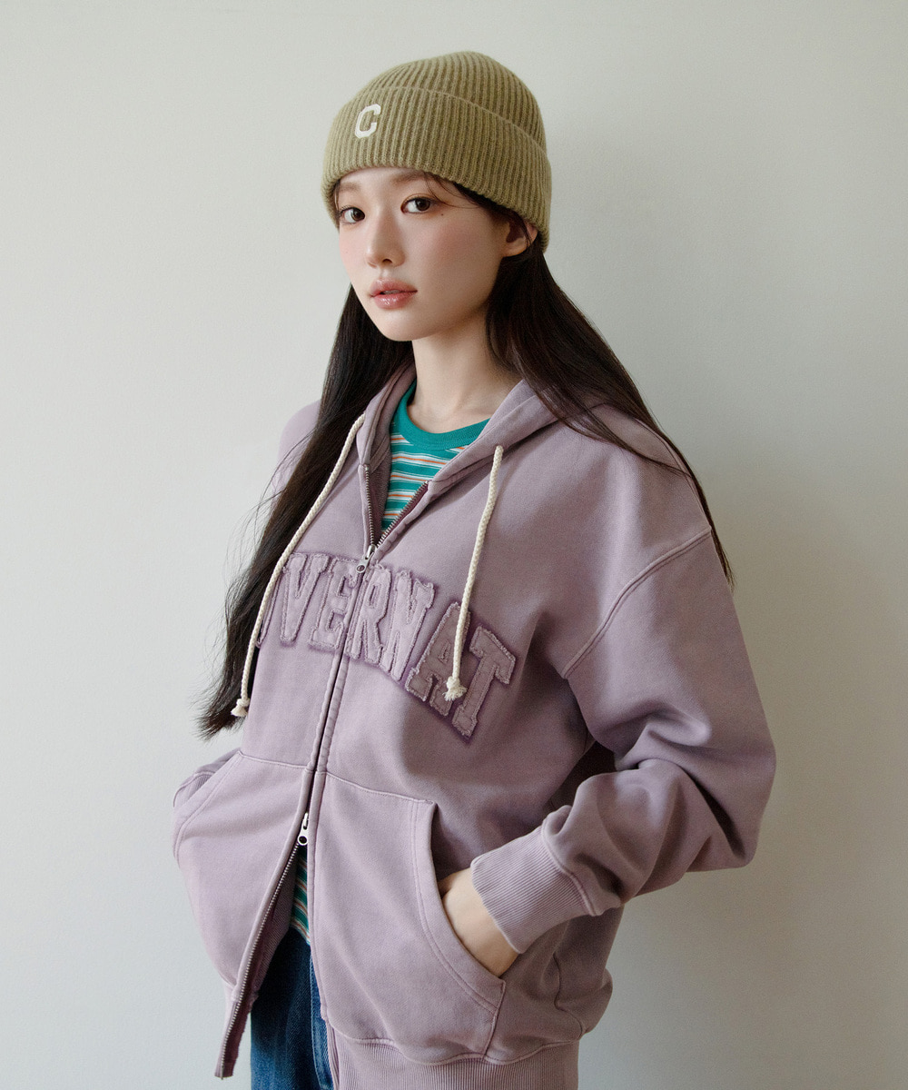 Pigment Arch Logo Hoodie Zip-Up