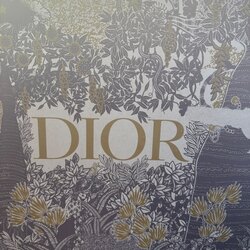 Christian dior copy gutal sz 40 