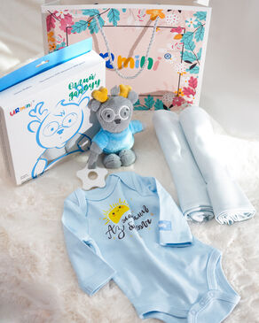 Gift box in toy blue box swaddle 