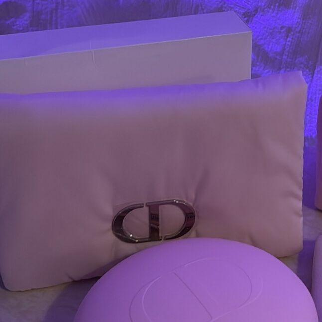 Dior pouch
