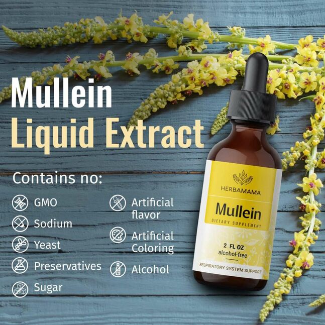 Herbamama mullein drops 57ml