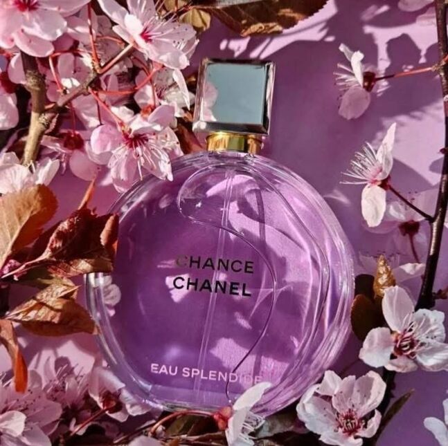 Шинэ гарсан chance chanel