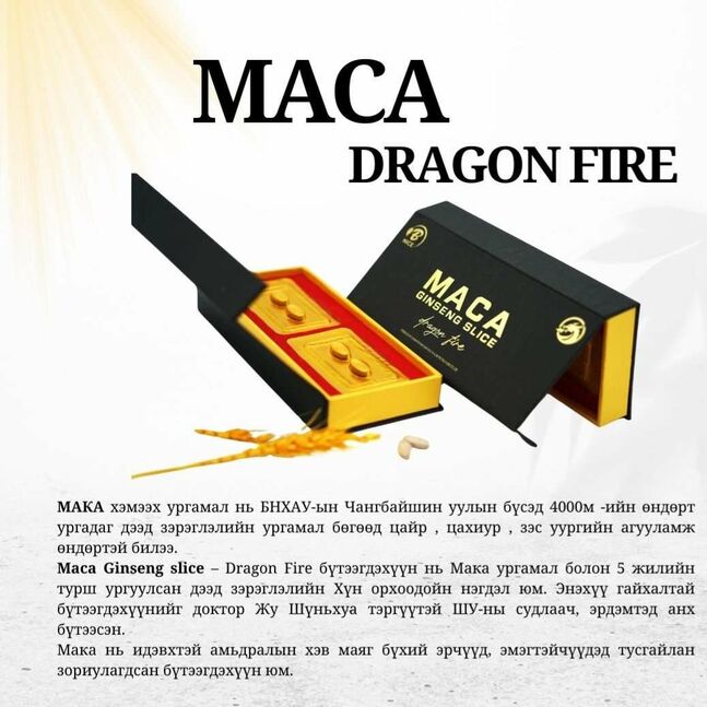 Maca dragon fire