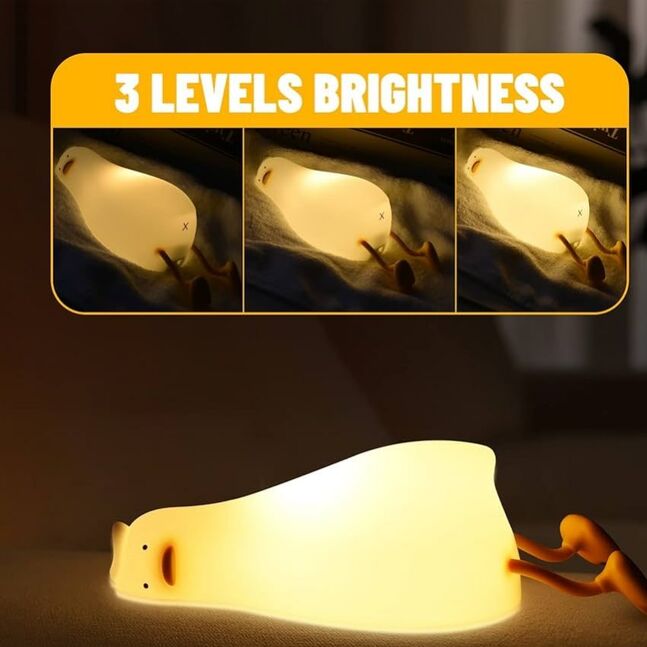 Lazy duck light