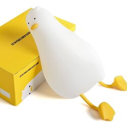 Lazy duck light