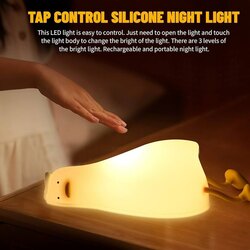 Lazy duck light