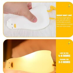 Lazy duck light