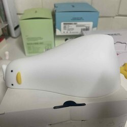 Lazy duck light