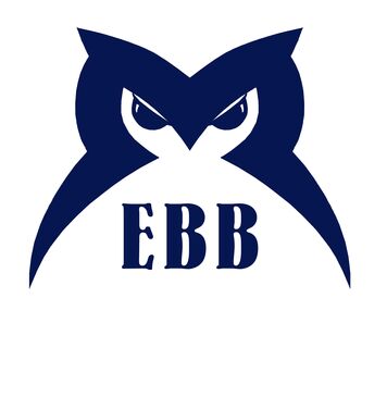 Apple iPhone 16 Pro 256GB