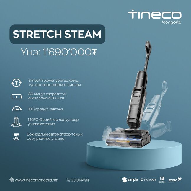 Tineco stretch steam