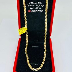 Монетан гинж