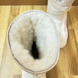 Оху-цаа бугын годон гутал