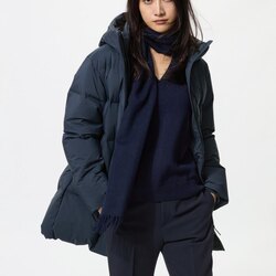 Өвлийн сөдөн куртик