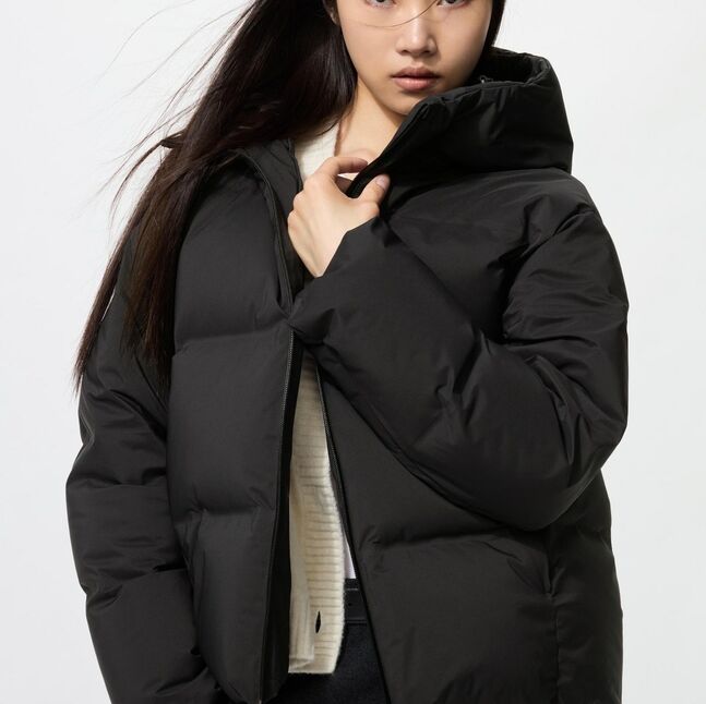 Сөдөн куртик