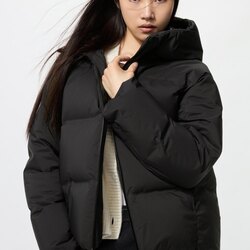 Сөдөн куртик