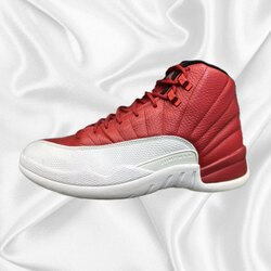 Jordan12