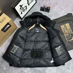 Богино эрэгтэй өвлийн күртик