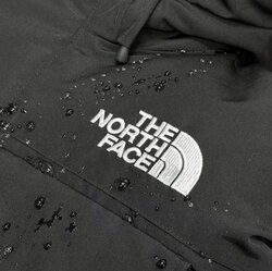 Богино эрэгтэй өвлийн күртик