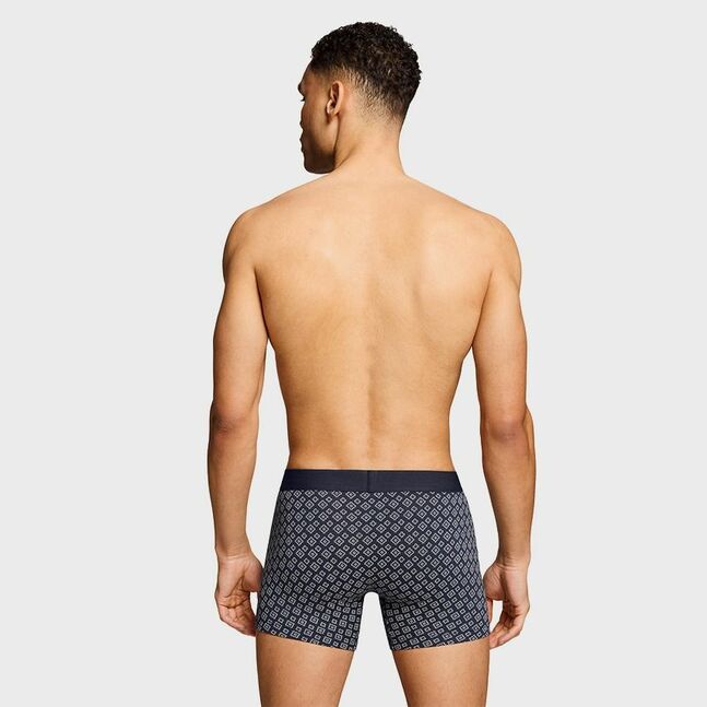 LEVIS REG CUT STRIPE GIFTBOX 4P