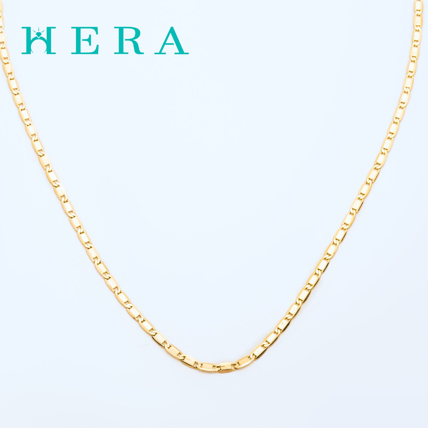 Монет гинж /Хавтгай хэлхээ/